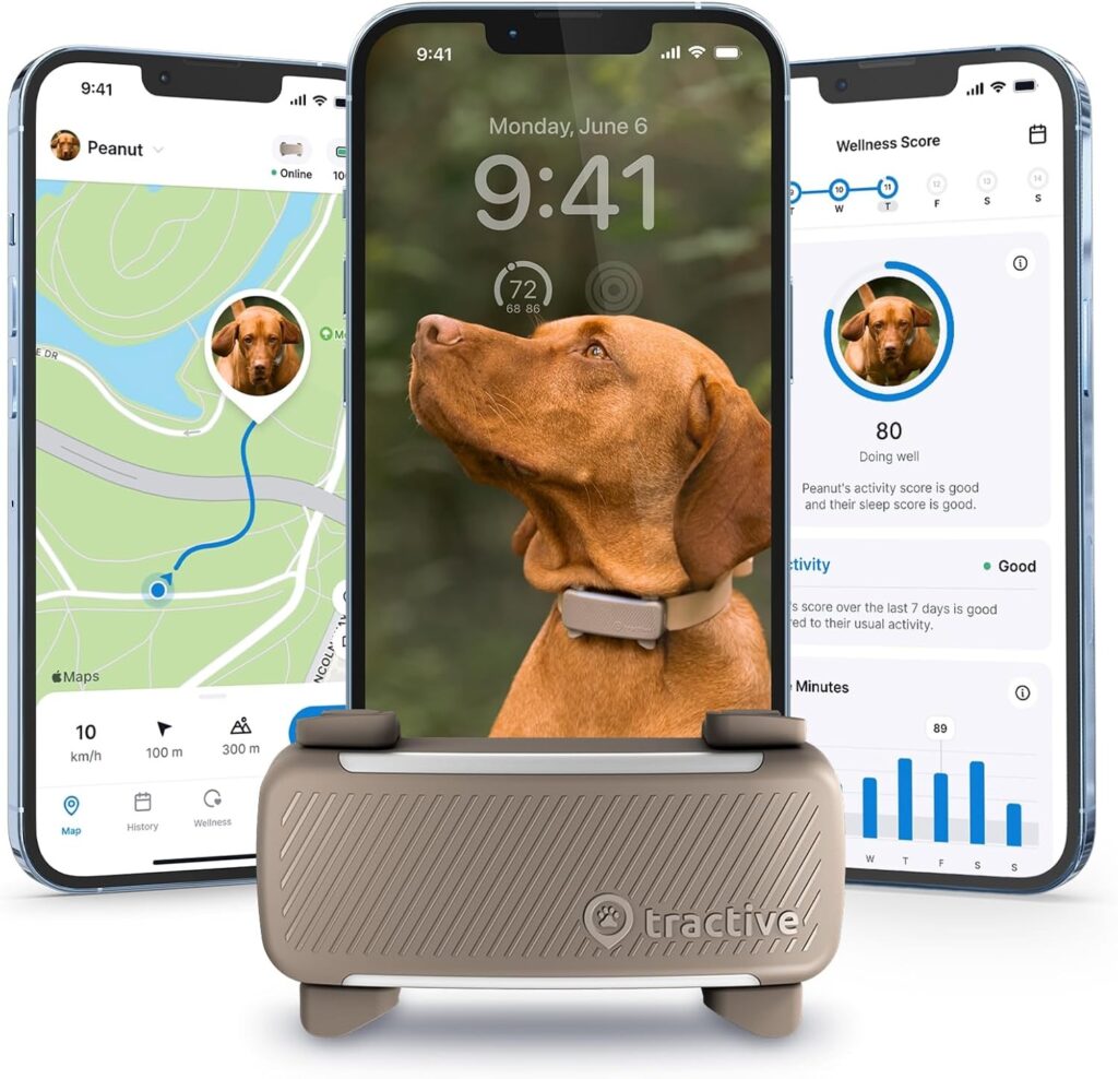 Tractive GPS Dog Tracker : A Review