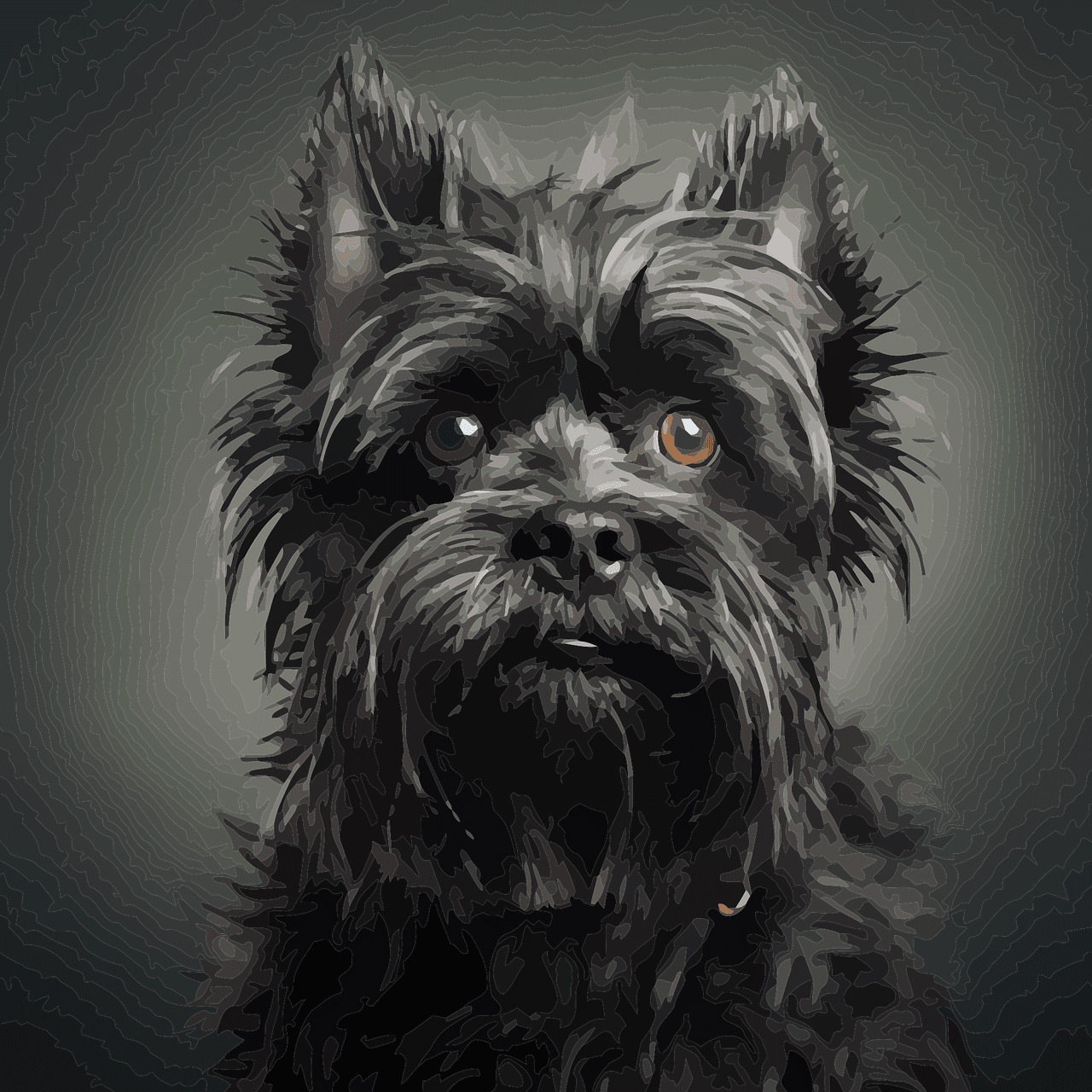 Dog Walking Tips for an Affenpinscher Dog