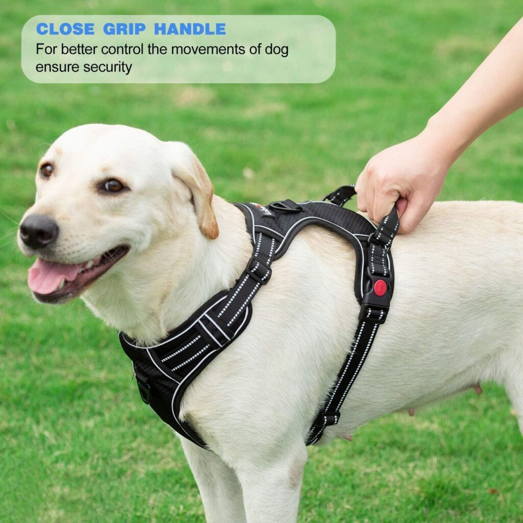No Pull Dog Harness