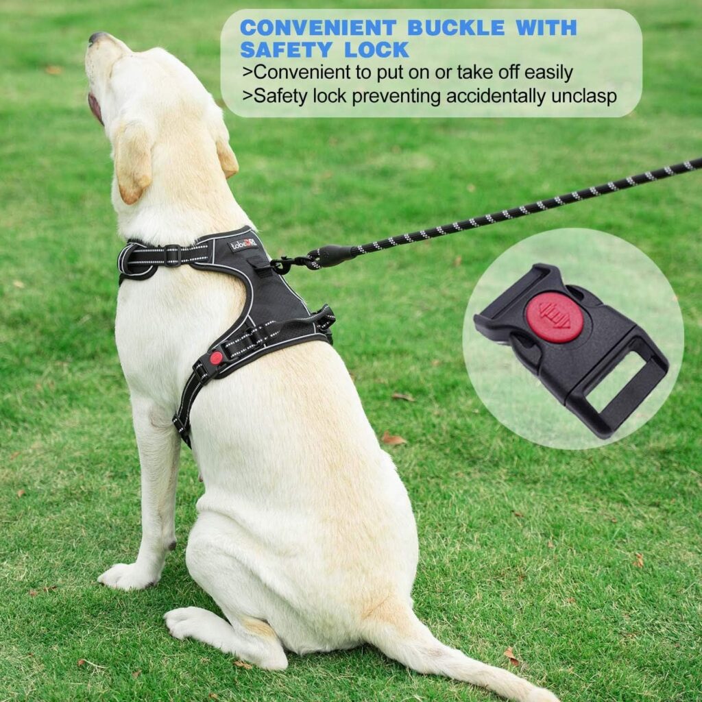 No Pull Dog Harness