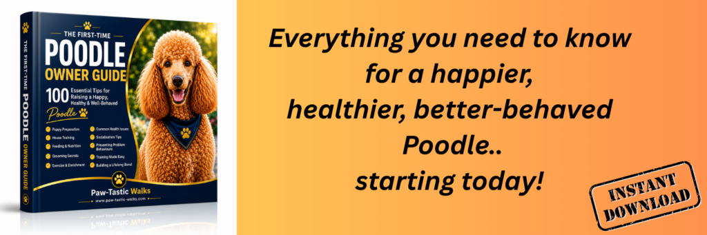 Poodle Ebook Guide